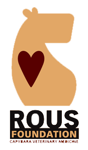 ROUS Foundation