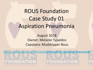 ROUS FoundationCaseStudy