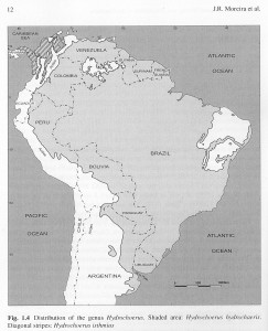 Capybara distribution map, South America